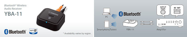 Optionaler Bluetooth Adapter