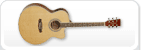 Akustikgitarren
