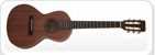Akustikgitarren