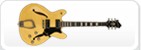 Hagstrom Gitarren