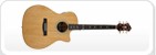 Hagstrom-Akustik
